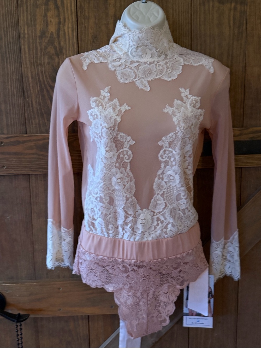 Blush Lace-Appliqué Long-Sleeve Chemise by